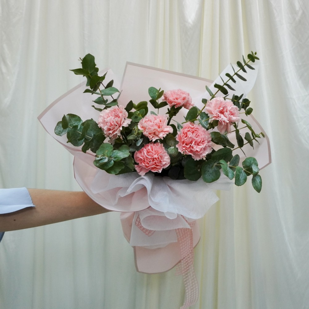 fresh-carnation-flowers